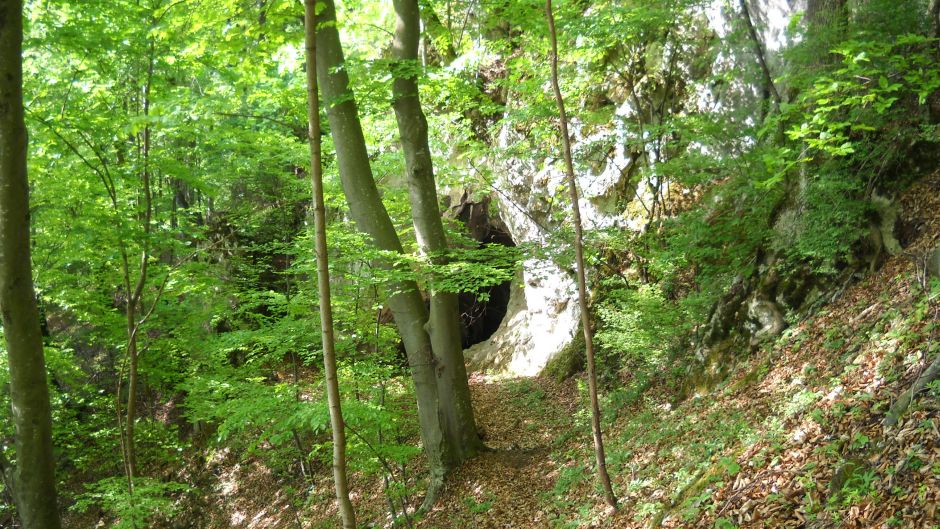 Naturdenkmal „Hallourhöhle“, Hernstein
