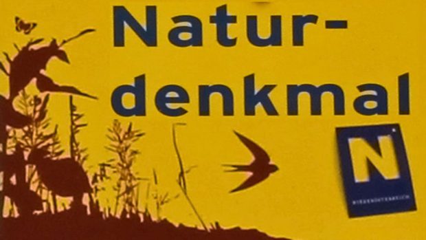 Allgemeines über Naturdenkmäler