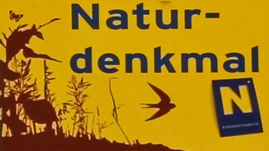 Naturdenkmal „Schilfbestand und Feuchtwiesen“, Markt Piesting-Dreistetten